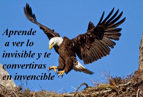 Imágenes de águilas con frases * Imagenes de amor con frases y fotos para  descargar